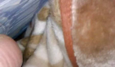 Gadis itu datang untuk memijat, tetapi dia sedang menunggu kejutan ketika seorang pria mulai membelai vaginanya. Bayi itu tidak menghentikannya, download video bokep hot tetapi memutuskan untuk menyerah pada semua lubang