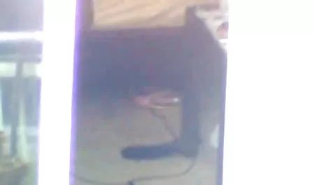 Pelacur ramping dengan kontol gigih video bokep mp3 gratis